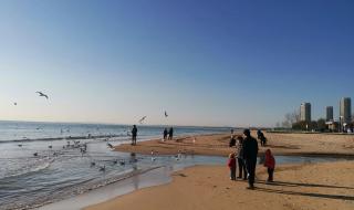 海鸥飞处彩云飞优酷