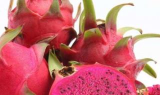 3月24日蚂蚁庄园答案 3月24日蚂蚁庄园答案